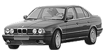 BMW E34 C246C Fault Code